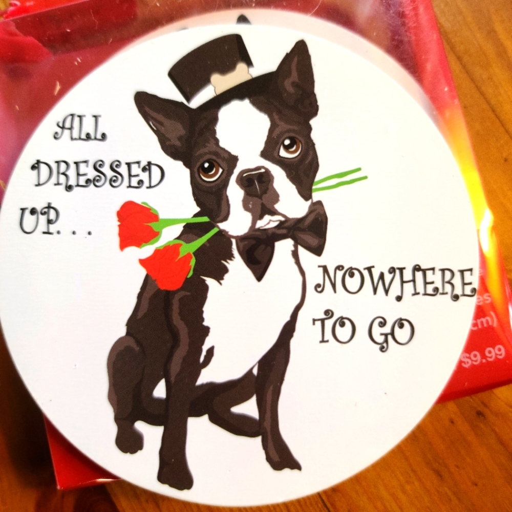 Set of 4 coasters  cute dressed up bulldog